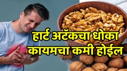 हार्ट अटॅकचा धोका कायमचा कमी होईल; फक्त ‘या’ प्रकारे करा अक्रोडच्या पाण्याचं सेवन, वजनही वाढणार नाही