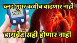 Diabetes: ब्लड शुगर कधीच वाढणार नाही; डायबेटीसही होणार नाही, फक्त दररोज सकाळी ‘हे’ ५ ड्रायफ्रूट्स खा