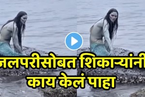 Shocking video A Real Mermaid Was Seen Sitting On A Rock In The Water Hunters Saw And The Mermaid Trapped Her
