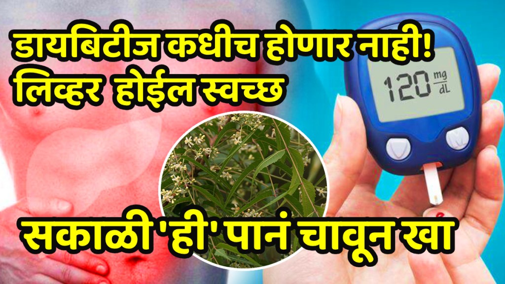 Amazing benefits of neem leaves kadwa neem helps control diabetes and improves liver health