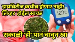 डायबिटीज कधीच होणार नाही! लिव्हर आठवड्यात होईल स्वच्छ; फक्त सकाळी ‘ही’ पानं चावून खा
