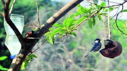 Rapid urbanization threatening wetlands