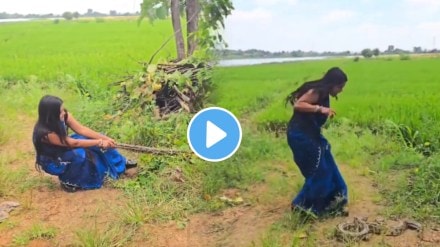 Woman in saree rescues giant snake from field viral video wins hearts Woman in saree rescues giant snake from field viral video wins hearts