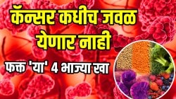कॅन्सर कधीच जवळ येणार नाही; फक्त ‘या’ ४ भाज्या खा, स्टेज ४ ब्रेस्ट कॅन्सरमधून वाचलेल्या डॉक्टरांनी स्वत: सांगितलं
