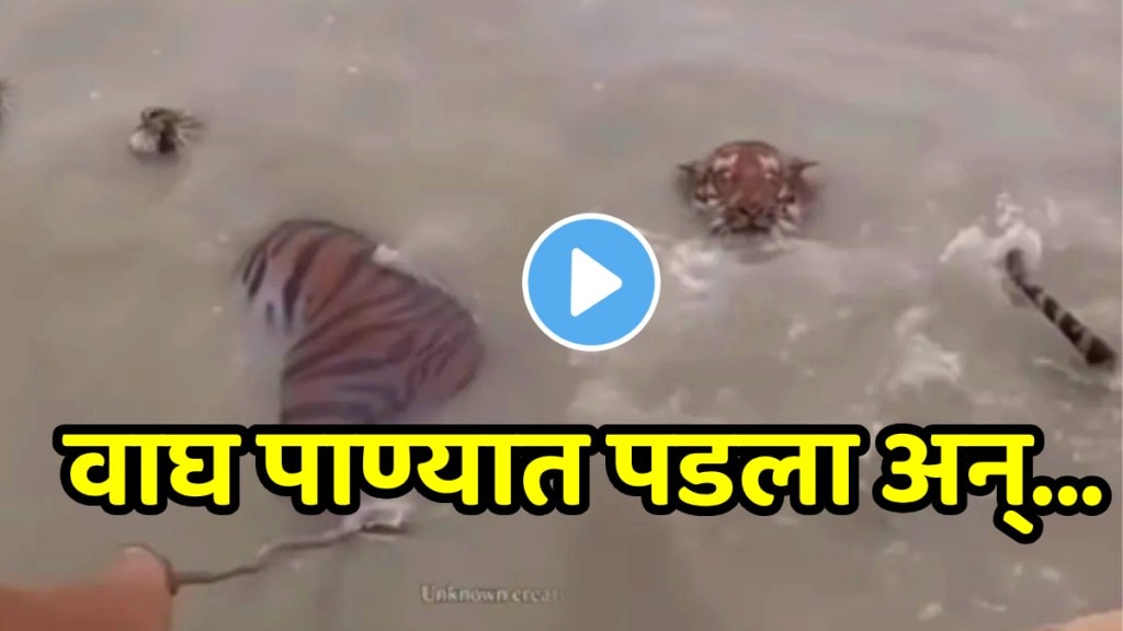 Funny video Lion Drowned In Water Man Scared What Happned Next Viral on social media