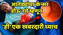 सावधान! तुमच्या मोठ्या आतड्यांना कर्करोगाचा धोका; तो होऊ नये म्हणून ‘ही’ एक खबरदारी घ्याच; संशोधकांनी दिली माहिती
