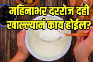 What Happens To Your Body When You Eat Curd Every Day For A Month