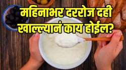 महिनाभर दररोज दही खाल्ल्यानं काय होईल? डॉक्टरांनी सांगितलेले परिणाम ऐकून विश्वास बसणार नाही