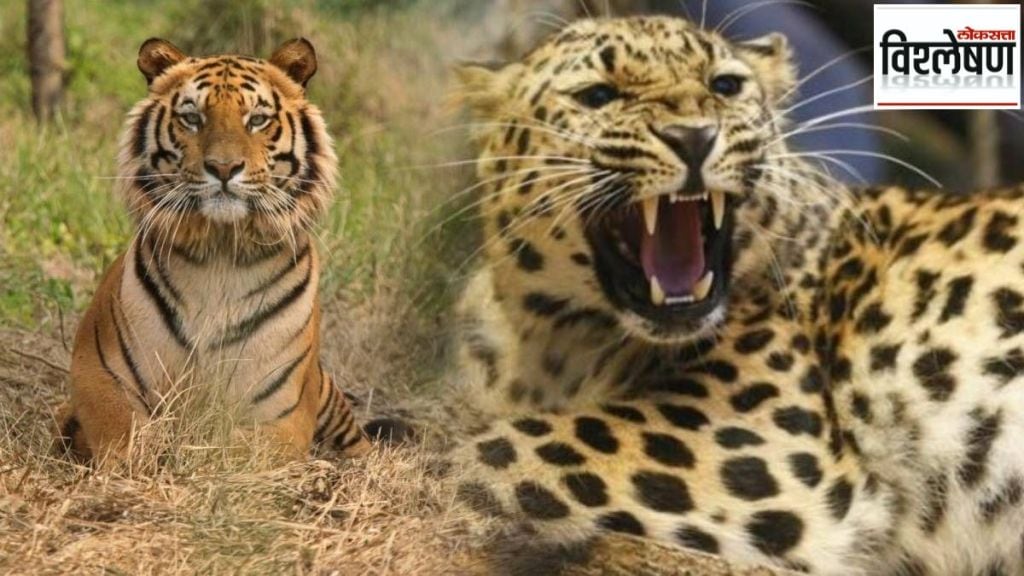 North Korea is eating its wild animals
