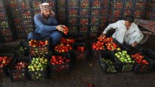 Pakistan market tomato rates