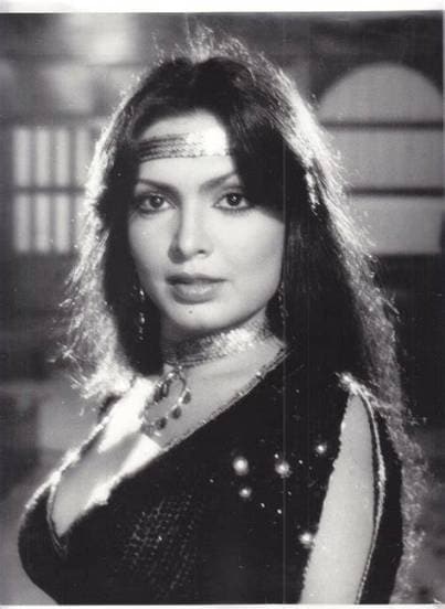 Parveen babi news