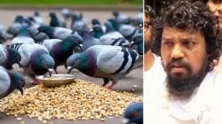 ‘कबुतर’ मुद्दा मुंबई मनपा निवडणुकीतही गाजणार! जैन मुनींकडून राजकीय पक्षाची घोषणा, ठाकरे बंधूविरोधात डागली तोफ
