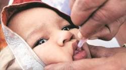 लहान मुलांना आज पोलिओ डोस! कधी अन् कुठे मिळेल जाणून घ्या…