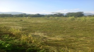 Raigad District Heavy Rain Unseasonal Yellow Alert Weather Konkan Disrupts Water Transport Tourists Farmers Worried