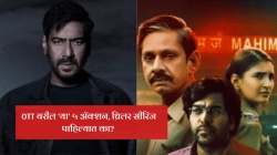 OTT वरील ‘या’ ५ सीरिजमध्ये आहे जबरदस्त अ‍ॅक्शन आणि थ्रिलर, ट्विस्ट पाहून व्हाल चकित; कुठे पाहाल? घ्या जाणून…