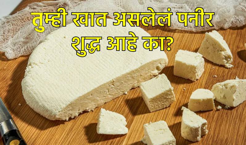शुद्ध पनीर की बनावट पनीर, कसे ओळखाल?
