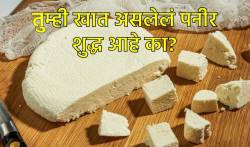 सणासुदीच्या काळात पनीर खात आहात? मग ते पनीर शुद्ध आहे की बनावट हे कसे ओळखाल?