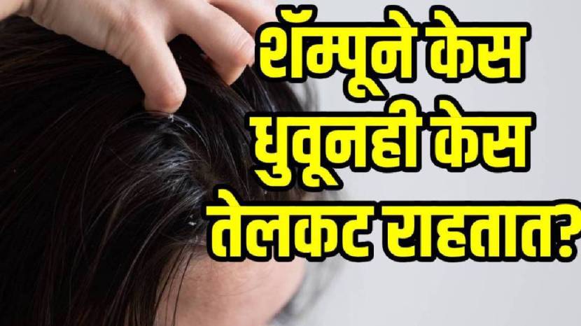 Shampoos-vs-oils