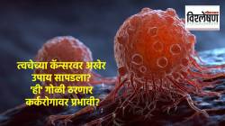 Skin Cancer Symptoms : त्वचेच्या कॅन्सरचा धोका ‘या’ गोळीने कमी होतो? संशोधन काय सांगतं? तज्ज्ञांचा दावा काय?