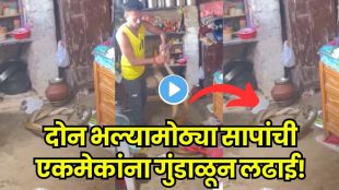 Snake rescue viral video