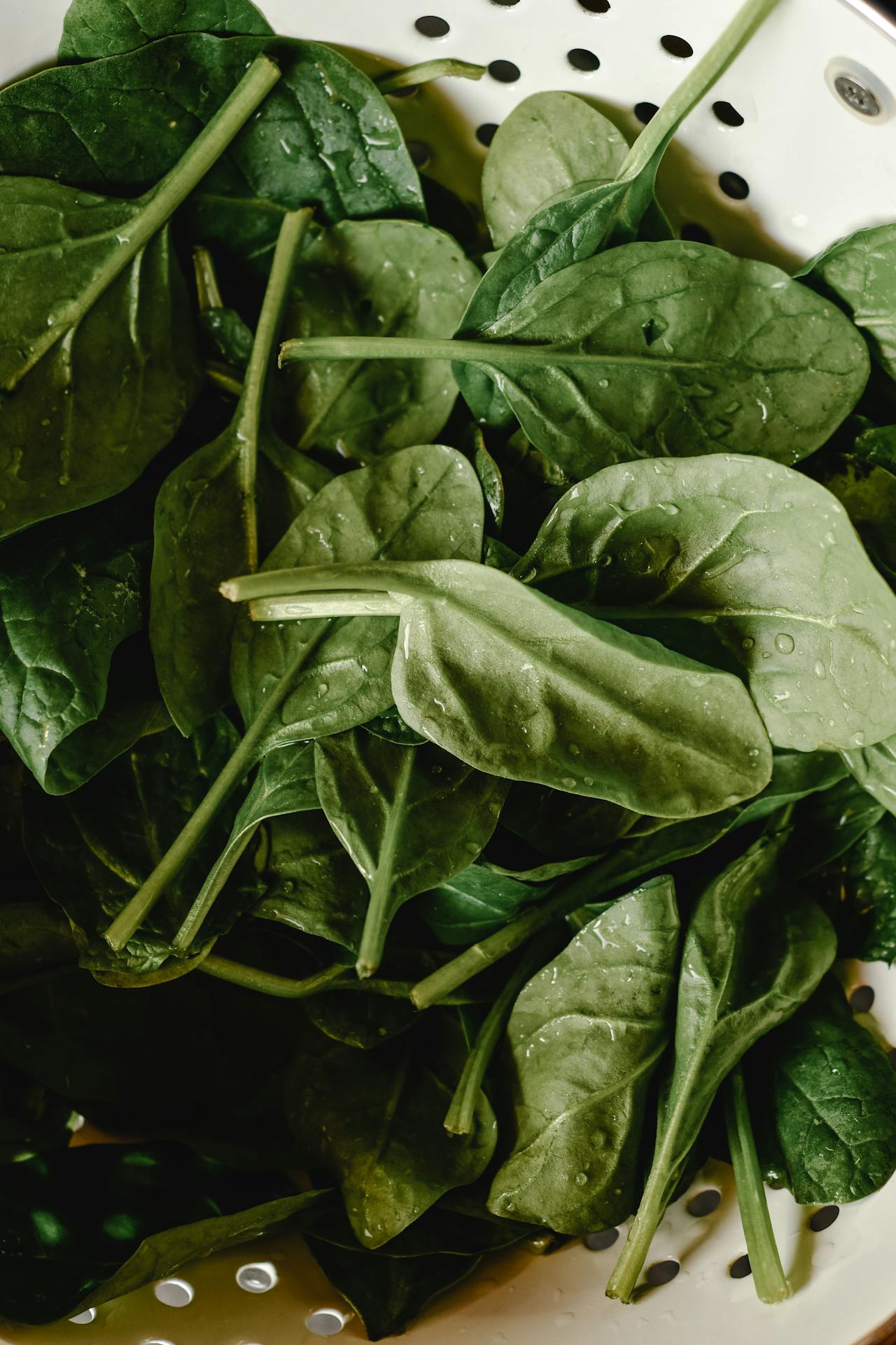 Spinach Vegetable Health Benefits Of Eating Daily