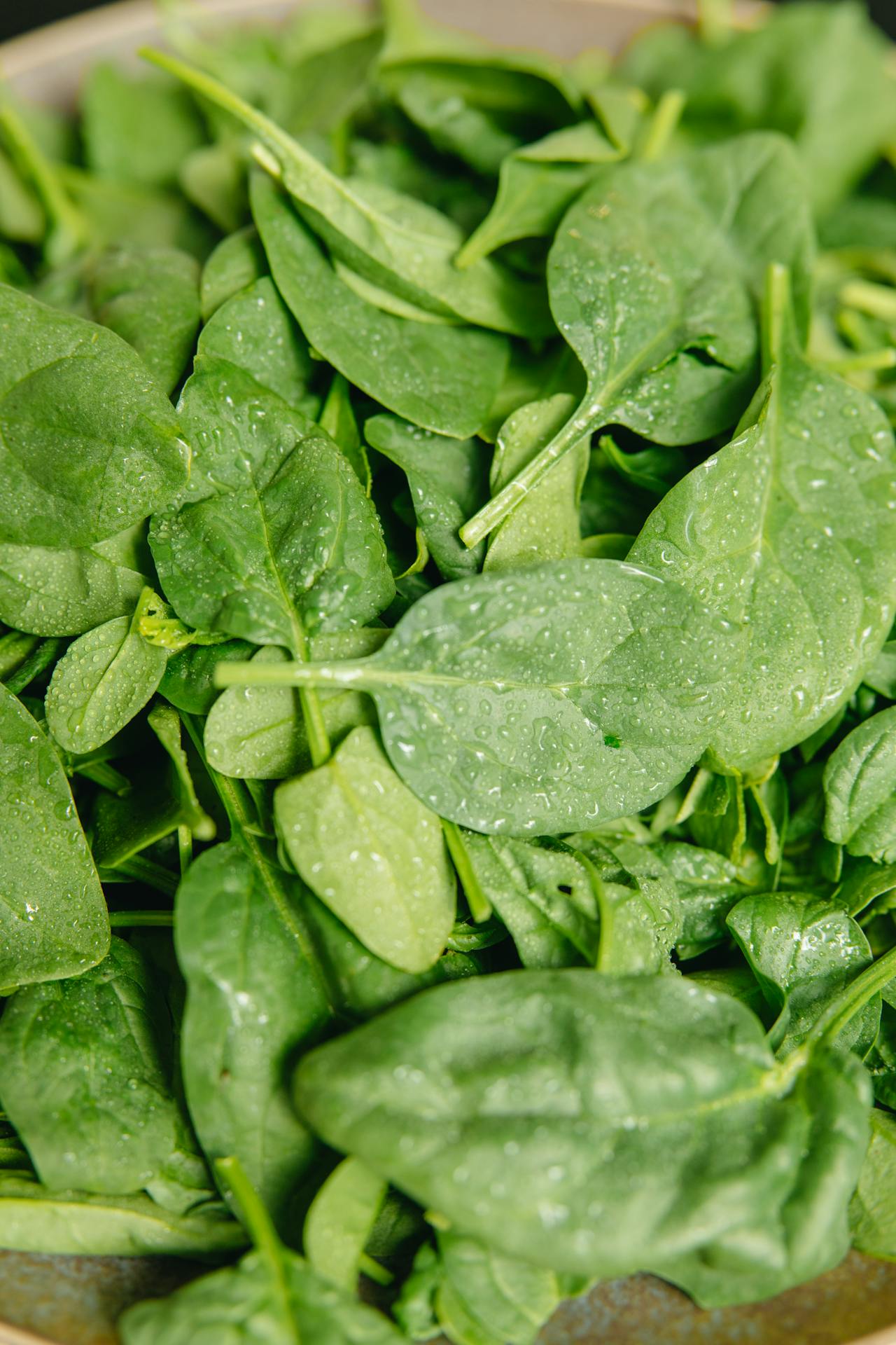 Spinach Vegetable Health Benefits Of Eating Daily
