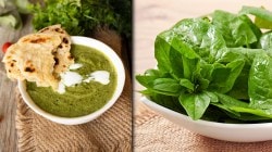Healthy Living: दररोज पालक खाल्ल्याने तुमच्या शरीरात होतील ‘हे’ बद्दल?