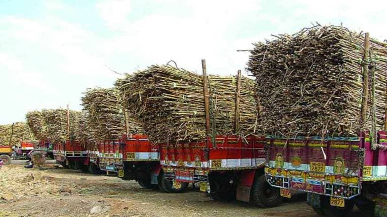 लोकशिवार : ऊस साखरेचे अर्थकारण