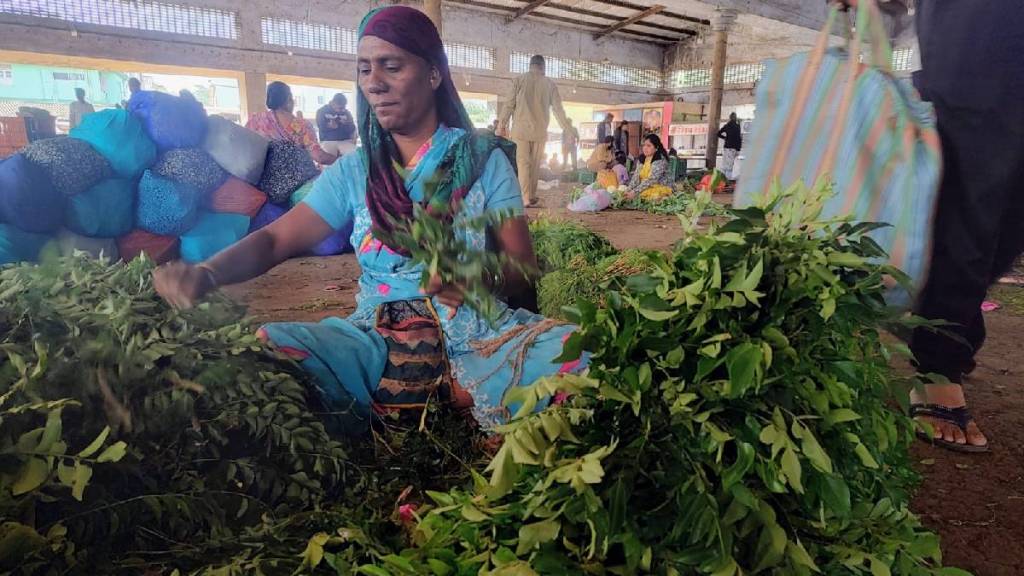 The price of curry leaves increased in Nashik market