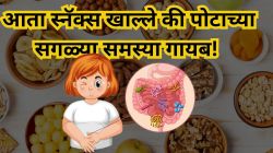 “हे स्नॅक्स खाल्ले की पोटाच्या सगळ्या समस्या होतील गायब! ‘स्मार्ट स्नॅकिंग’करा अन् तुमटं पोट आणि आतडं दोन्ही ठेवा हेल्दी