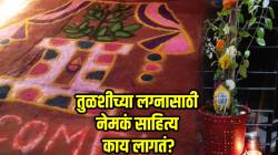 तुळशीच्या लग्नाला काय काय लागतं? वाचा पूजेची योग्य पद्धत आणि साहित्याची यादी एका क्लिकवर