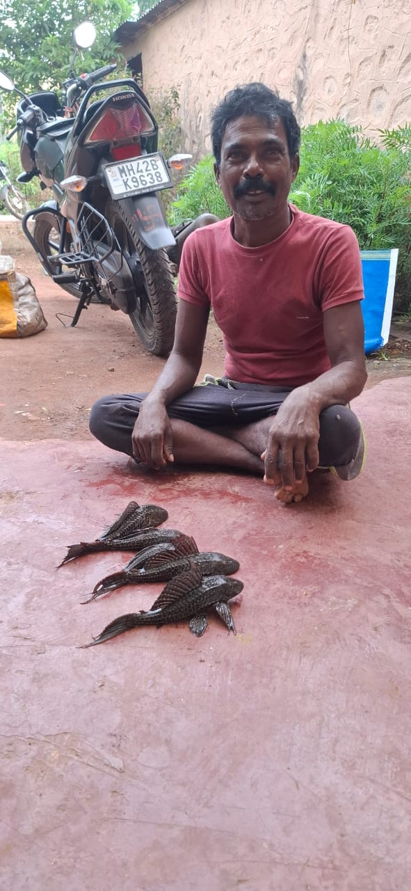 Ujani Dam Helicopter Fish