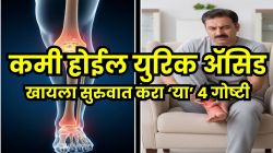 किडनीतून युरिक ॲसिड बाहेर निघेल; फक्त रोज खा ‘या’ ४ गोष्टी, हाडांच्या वेदना व सांधेदुखी होईल दूर