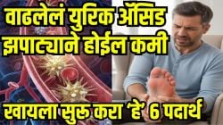 रक्तातील खराब युरिक ॲसिड झपाट्याने काढून टाकतील ‘हे’ ६ पदार्थ; सांधेदुखीपासून होणार कायमची सुटका