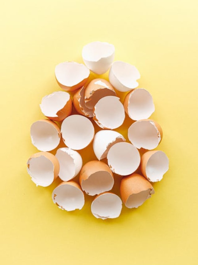 Uses Of Eggshells For Stain Removal