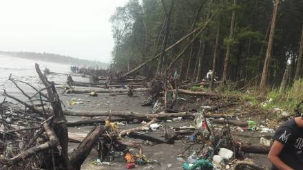 Work on erosion control embankments on Vasai coast stalled Work on erosion control embankments on Vasai coast stalled