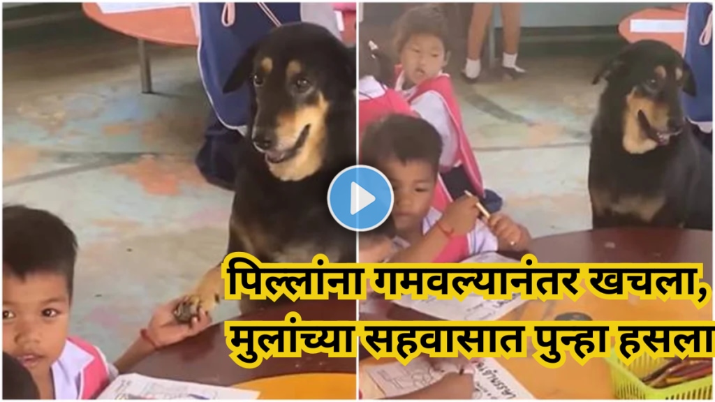 dog-depression-viral-video dog-depression-viral-video