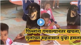 dog-depression-viral-video