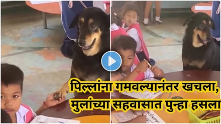 dog-depression-viral-video dog-depression-viral-video