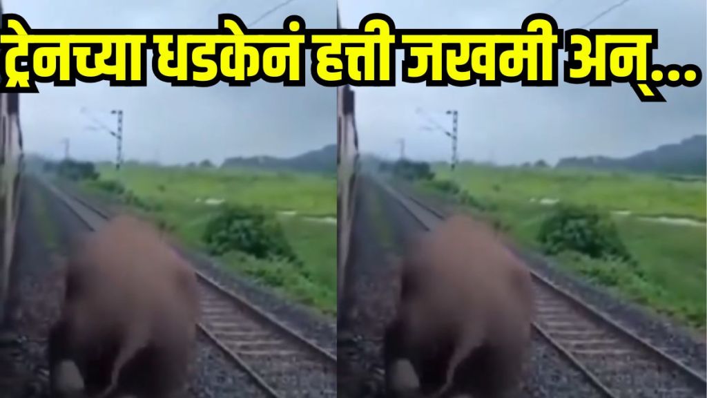 Shocking Elephant Rail Accident