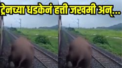 ट्रेनच्या धडकेनं जखमी झाला हत्ती, काही पावलं चालला अन् क्षणातच…VIDEO पाहून कुणाचेही पाणावतील डोळे