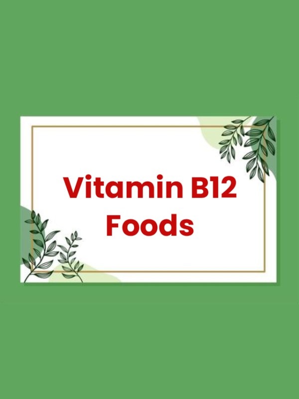 Vitamin B12 Increase Foods