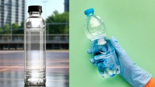 Water Bottle Cap Colour Meaning