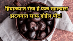 हिवाळ्यात रोज हे फळ खाल्यास झटक्यात साफ होईल पोट! पचन इतकं सुधारेल की सगळ्या तक्रारी गायब होतील!