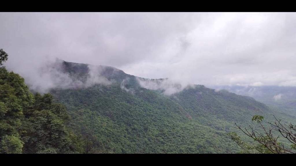 ​'Biodiversity Gathering' in Amboli in November to conserve biodiversity in the Western Ghats