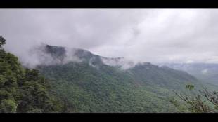 'Biodiversity Gathering' in Amboli in November to conserve biodiversity in the Western Ghats