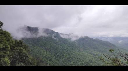 'Biodiversity Gathering' in Amboli in November to conserve biodiversity in the Western Ghats 'Biodiversity Gathering' in Amboli in November to conserve biodiversity in the Western Ghats