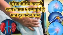 लघवीद्वारे यूरिक अ‍ॅसिड बाहेर पडले नाही तर? आयुष्यभर सहन करावा लागेल त्रास; फक्त ५ रूपयांचं हे पान देईल आराम