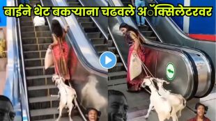 Village woman taking goats up the escalator in a mall.