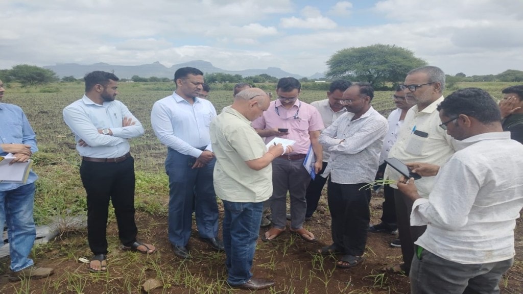 Nashik crop damage, heavy rainfall effect, onion crop loss Nashik, Chandwad agriculture impact, Yeola onion farming, kharif crop damage, central agriculture team Nashik,
